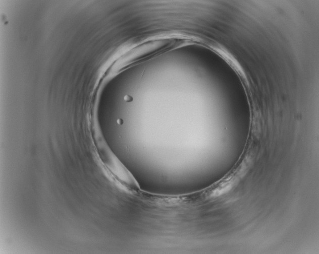 X0000087740813200705211011