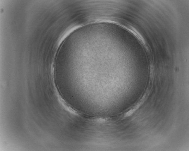 X0000087740814200705211011