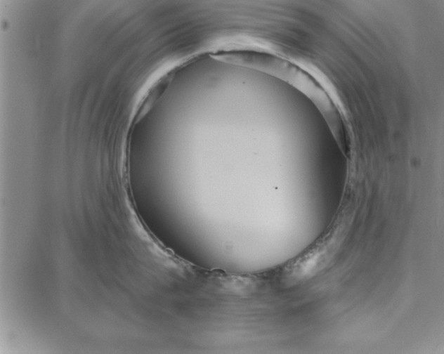 X0000087740815200705211011