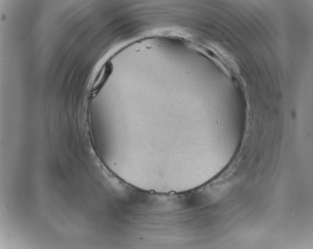 X0000087740816200705211011