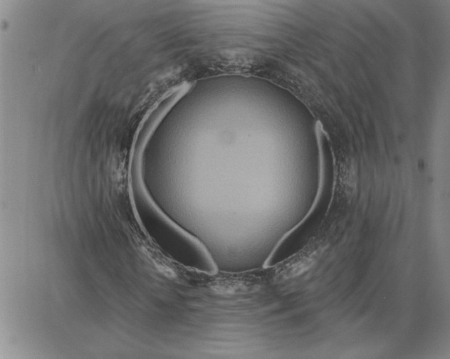 X0000087740818200705211010