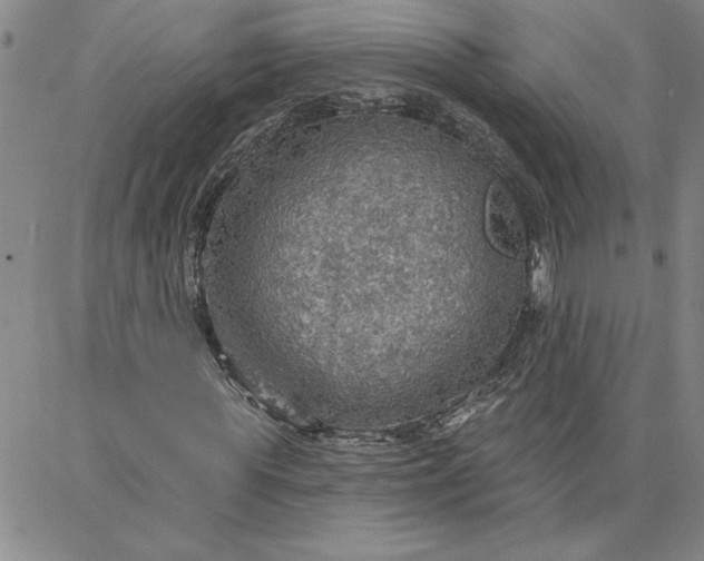 X0000087740819200705211010