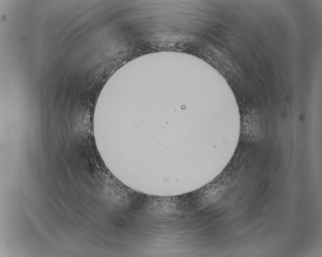 X0000087740820200705211010