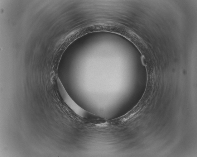 X0000087740822200705211010