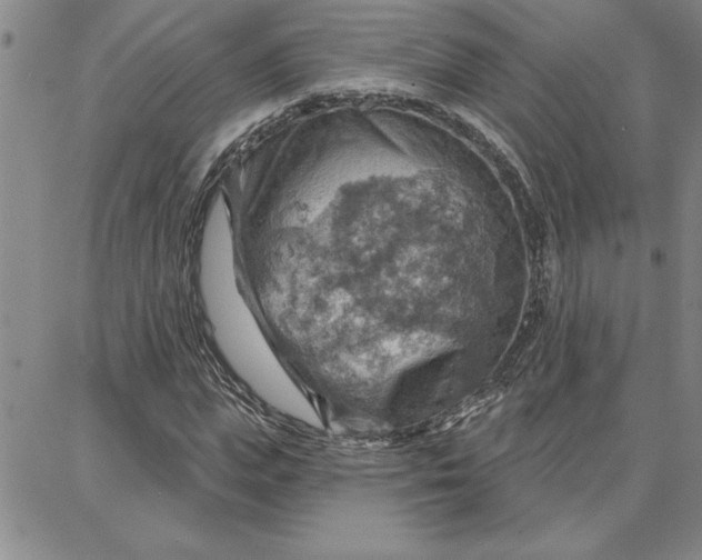 X0000087740823200705211010