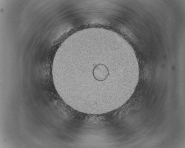 X0000087740824200705211010