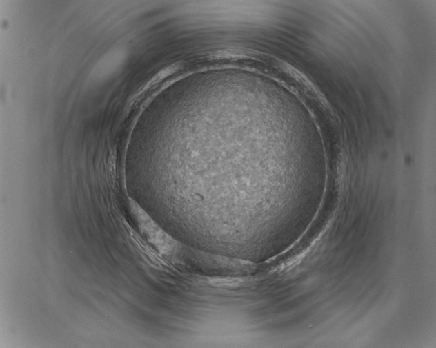 X0000087740825200705211010