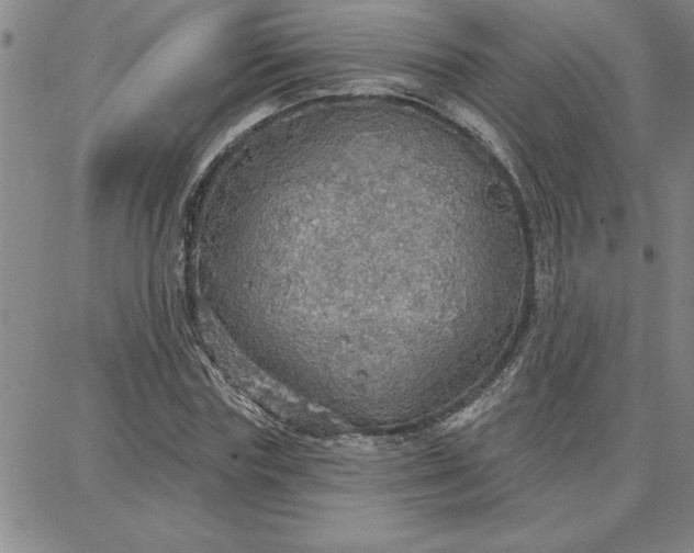 X0000087740827200705211010