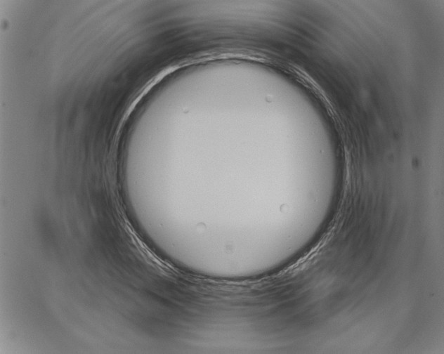 X0000087740828200705211010