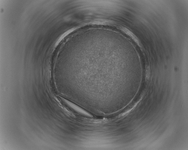 X0000087740829200705211010