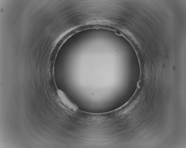 X0000087740830200705211010