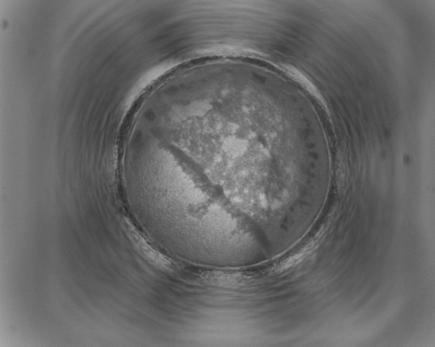 X0000087740831200705211010