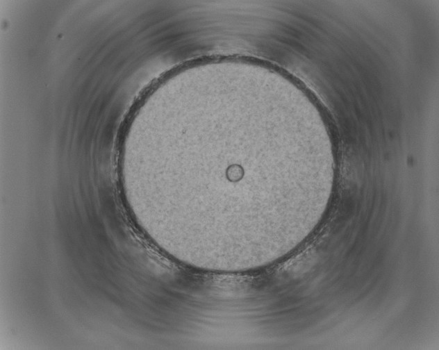 X0000087740832200705211010