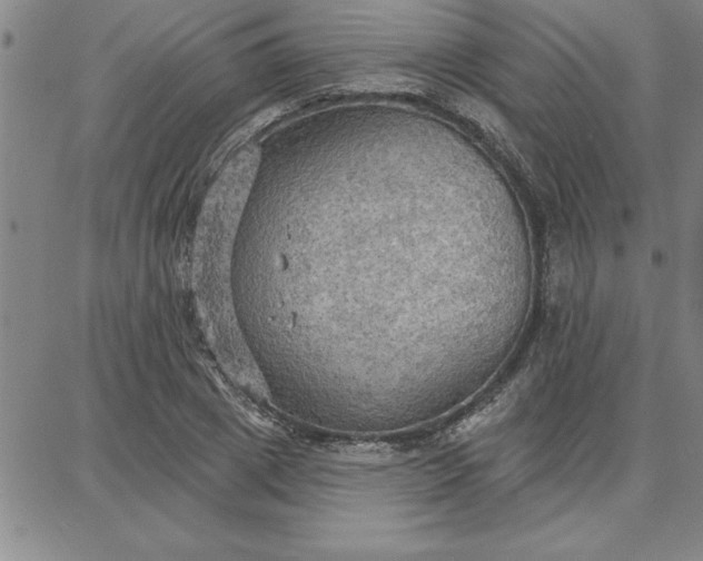 X0000087740833200705211010