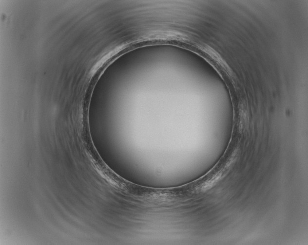 X0000087740834200705211010