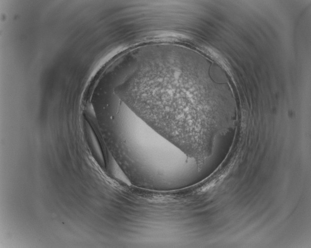 X0000087740835200705211010