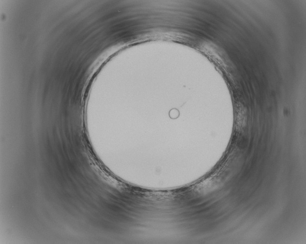 X0000087740836200705211010