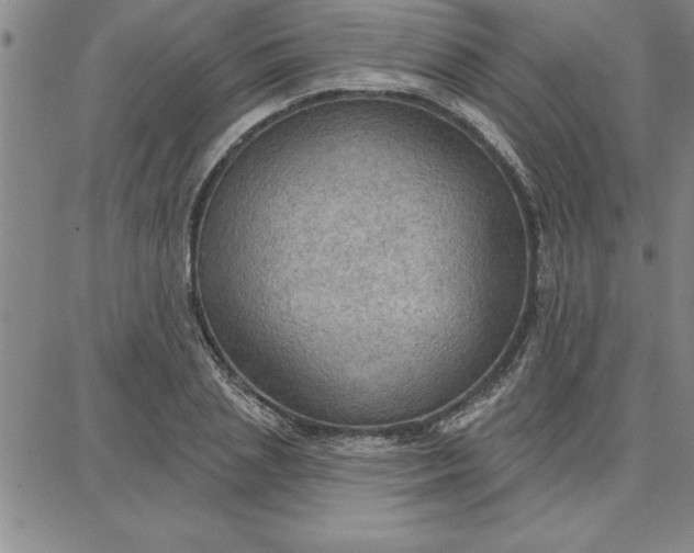 X0000087740837200705211010