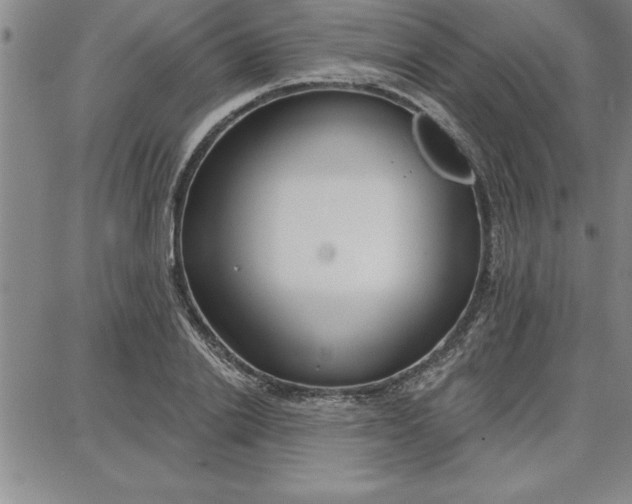 X0000087740838200705211010