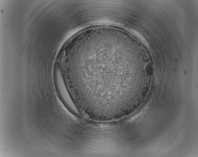 X0000087740839200705211010