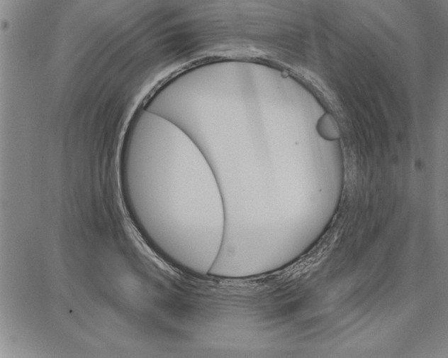 X0000087740840200705211010