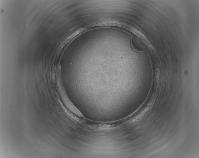 X0000087740841200705211010