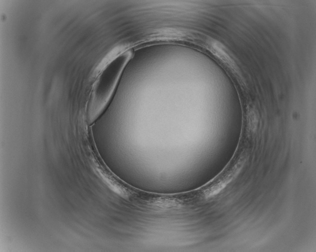 X0000087740842200705211010