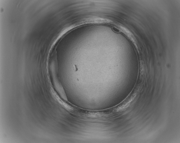 X0000087740843200705211010