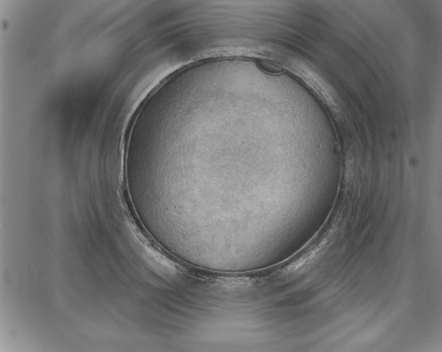 X0000087740844200705211010