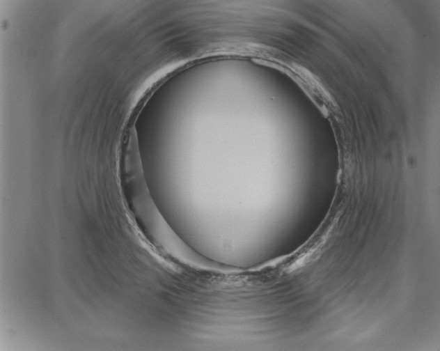 X0000087740846200705211010