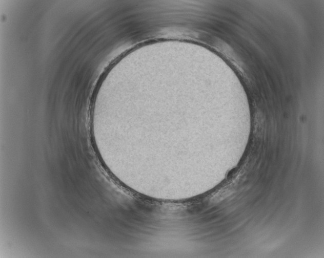 X0000087740848200705211010