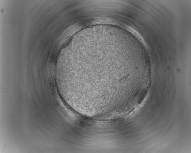 X0000087740849200705211010