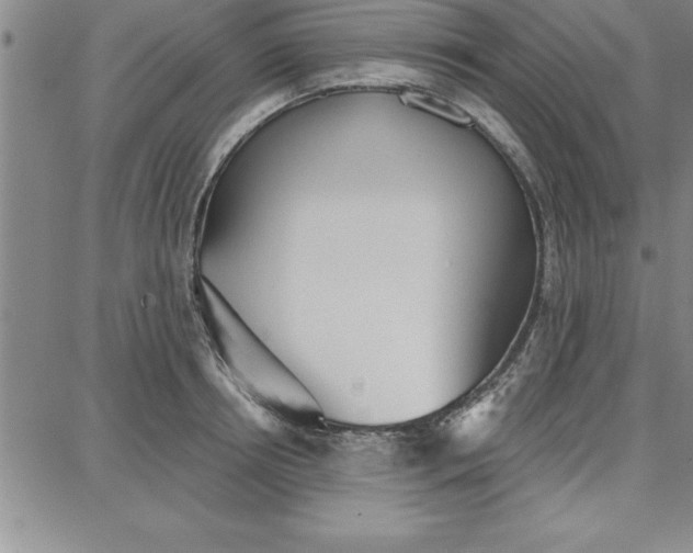 X0000087740850200705211010