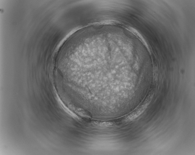 X0000087740851200705211010