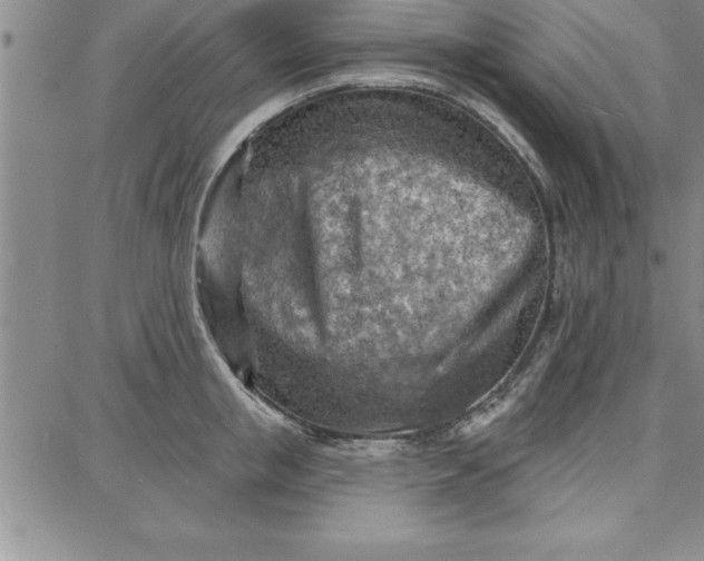 X0000087740853200705211010