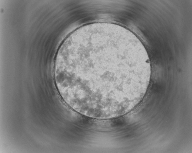 X0000087740856200705211010