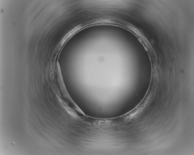 X0000087740858200705211010