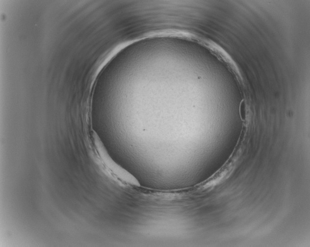 X0000087740860200705211011