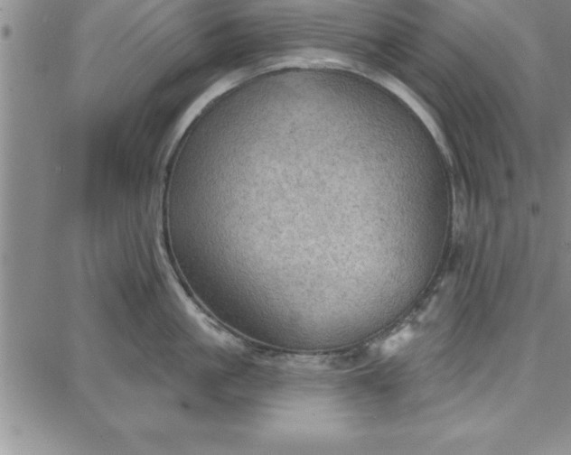 X0000087740861200705211011