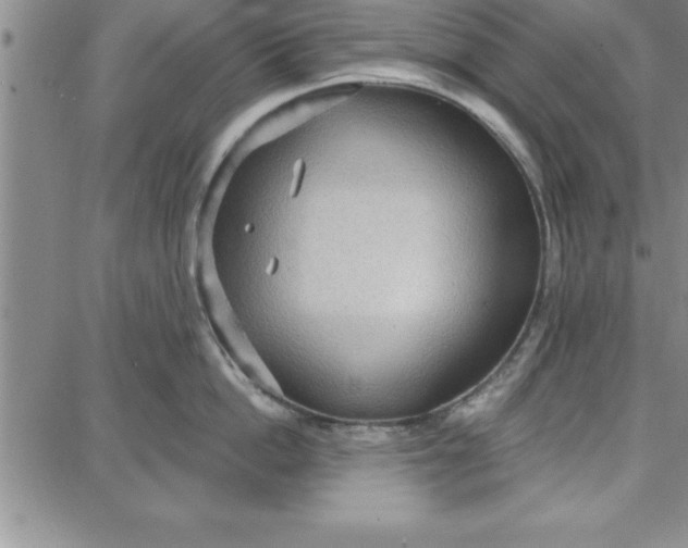 X0000087740862200705211011