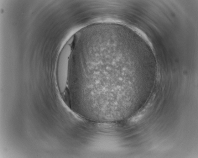 X0000087740863200705211011