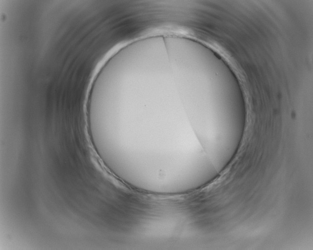 X0000087740864200705211011