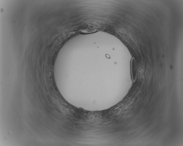 X0000087740865200705211010