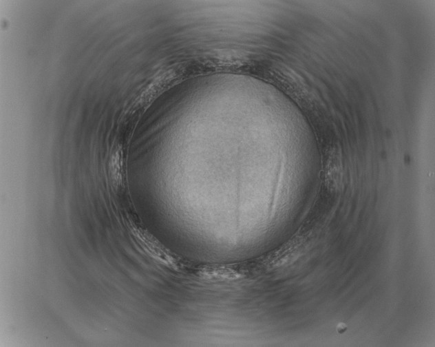 X0000087740866200705211010