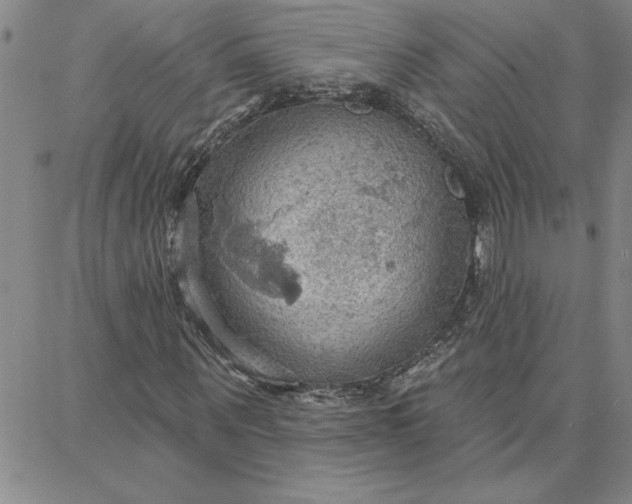 X0000087740867200705211010