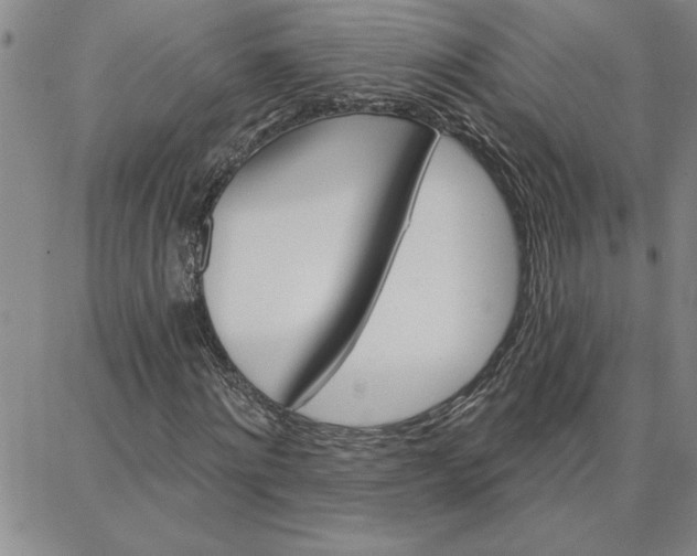 X0000087740868200705211010