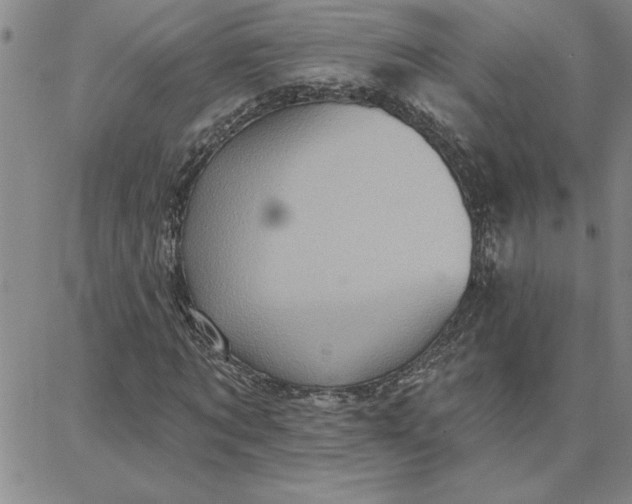 X0000087740869200705211010