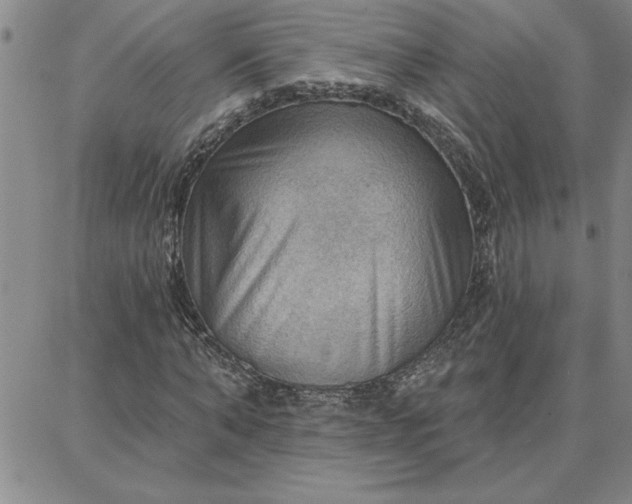 X0000087740870200705211010