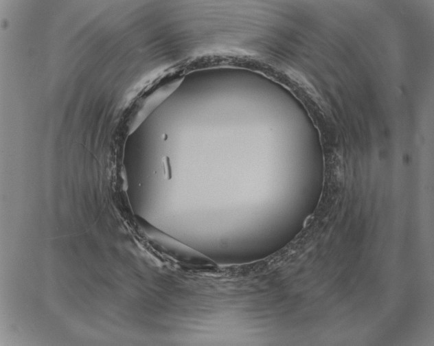 X0000087740872200705211010