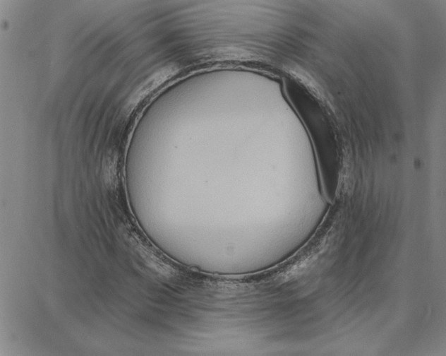 X0000087740873200705211010